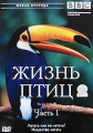 BBC: Жизнь птиц Часть 1 Серия: Живая природа инфо 7156f.
