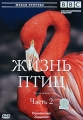 BBC: Жизнь птиц Часть 2 Серия: Живая природа инфо 7157f.