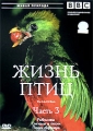 BBC: Жизнь птиц Часть 3 Серия: Живая природа инфо 7158f.