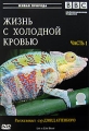 BBC: Жизнь с холодной кровью Часть 1 Серия: Живая природа инфо 7160f.