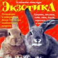 Домашние питомцы: Экзотика Серия: Домашние питомцы инфо 7427f.