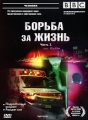 BBC: Борьба за жизнь Часть 2 Серия: Человек инфо 7539f.