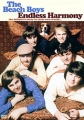 The Beach Boys: Endless Harmony Формат: DVD (PAL) (Keep case) Дистрибьютор: Концерн "Группа Союз" Региональный код: 0 (All) Количество слоев: DVD-9 (2 слоя) Субтитры: Немецкий / Английский / Испанский / инфо 7759f.