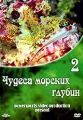 Чудеса морских глубин 2 Формат: DVD (PAL) (Keep case) Дистрибьютор: DVD Alliance Региональный код: 0 (All) Звуковые дорожки: Dolby Digital 2 0 Формат изображения: Standart 4:3 (1,33:1) Лицензионные товары инфо 7877f.