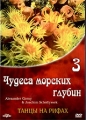 Чудеса морских глубин 3 (DTS) Формат: DVD (PAL) (Keep case) Дистрибьютор: DVD Alliance Региональный код: 0 (All) Звуковые дорожки: DTS Dolby Digital Stereo Dolby Digital 5 1 Формат изображения: инфо 7878f.