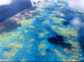 BBC: Планета Земля какой вы ее еще не видели Часть 4 Серия: Живая природа инфо 7892f.