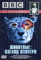 BBC: Животные: Взгляд изнутри Формат: DVD (PAL) (Keep case) Дистрибьютор: СОЮЗ Видео Региональный код: 5 Субтитры: Русский Звуковые дорожки: Русский Dolby Digital 2 0 Английский Dolby Digital 2 0 инфо 7920f.