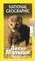 National Geographic Дикие малыши Формат: VHS (PAL) (Пластиковый бокс) Дистрибьютор: Пирамида HiFi Stereo ; Русский Синхронный перевод Лицензионные товары Характеристики видеоносителей 2003 г , 47 мин , инфо 7945f.