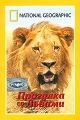 National Geographic Прогулка со львами Формат: DVD (PAL) Дистрибьютор: Парадиз Видео Региональный код: 5 Звуковые дорожки: Английский Dolby Digital 5 1 Русский Синхронный перевод Dolby Digital 5 1 инфо 7954f.