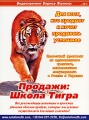 Продажи: Школа тигра Видеотренинг Формат: DVD (PAL) (Картонный бокс) Дистрибьютор: Business Solutions Региональный код: 5 Количество слоев: DVD-5 (1 слой) Звуковые дорожки: Русский Dolby Digital инфо 8220f.