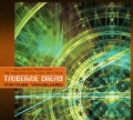 Tangerine Dream Vintage Vanguard Формат: Audio CD (DigiPack) Дистрибьюторы: Membran Music Ltd , Gala Records Европейский Союз Лицензионные товары Характеристики аудионосителей 2009 г Альбом: Импортное издание инфо 8239f.