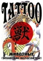 Tattoo: Животные: Японские иероглифы Формат: DVD (PAL) (Упрощенное издание) (Keep case) Дистрибьютор: DVD Land Региональный код: 5 Количество слоев: DVD-5 (1 слой) Формат изображения: инфо 8337f.