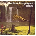 The Bluefoot Project Brave Формат: Audio CD (Jewel Case) Дистрибьютор: Chocolate Fireguard Music Ltd Лицензионные товары Характеристики аудионосителей 2003 г Альбом инфо 8370f.