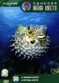 Одиссея Жака Кусто: Живое море Кровь моря Выпуск 30 Серия: Одиссея Жака Кусто инфо 8753f.