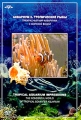 Аквариум 2 Тропические рыбы Формат: DVD (PAL) (Super jewel case) Дистрибьютор: DVD Alliance Региональный код: 0 (All) Звуковые дорожки: Dolby Digital 2 0 Dolby Surround 5 0 Формат инфо 8755f.