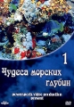 Чудеса морских глубин 1 Формат: DVD (PAL) (Keep case) Дистрибьютор: DVD Alliance Региональный код: 0 (All) Звуковые дорожки: Dolby Digital Stereo Формат изображения: Standart 4:3 (1,33:1) Лицензионные инфо 8775f.