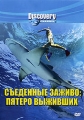 Discovery: Съеденные заживо Пятеро выживших Формат: DVD (PAL) (Keep case) Дистрибьютор: DVD Магия Региональный код: 5 Количество слоев: DVD-5 (1 слой) Звуковые дорожки: Русский Закадровый перевод Dolby Digital инфо 8779f.