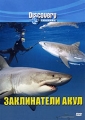 Discovery: Заклинатели акул Формат: DVD (PAL) (Keep case) Дистрибьютор: DVD Магия Региональный код: 5 Количество слоев: DVD-5 (1 слой) Звуковые дорожки: Русский Синхронный перевод Dolby Digital 2 0 инфо 8780f.