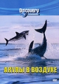 Discovery: Акулы в воздухе Формат: DVD (PAL) (Keep case) Дистрибьютор: DVD Магия Региональный код: 5 Количество слоев: DVD-5 (1 слой) Звуковые дорожки: Русский Синхронный перевод Dolby Digital 2 0 инфо 8782f.