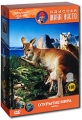 Одиссея Жака Кусто: Открытие мира Подарочное издание Часть 2 (4 DVD) Серия: Одиссея Жака Кусто инфо 8801f.