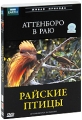 BBC: Аттенборо в раю: Райские птицы Серия: Живая природа инфо 8805f.