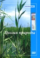 Поэзия природы Фильм 1 Формат: DVD (PAL) (Упрощенное издание) (Keep case) Дистрибьютор: Эврика фильм Региональный код: 0 (All) Количество слоев: DVD-5 (1 слой) Звуковые дорожки: Русский Dolby Digital инфо 9043f.
